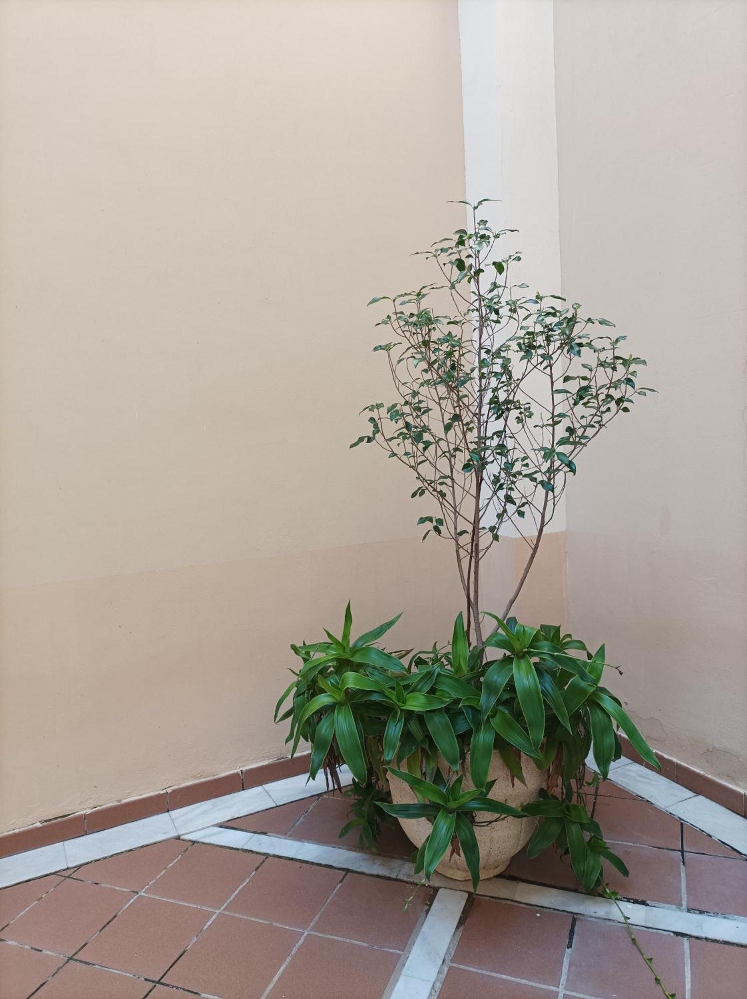 Apartamento De Lux Sevilla Este Zewnętrze zdjęcie